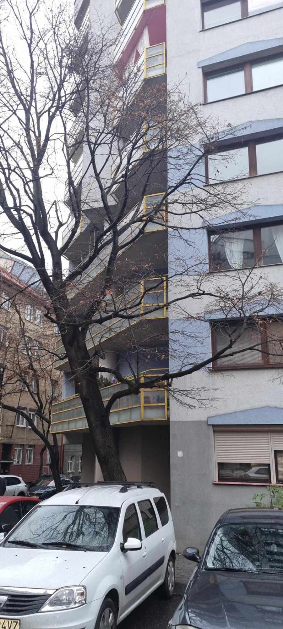 Huge Apartment Next To Train Station Close To The City Center Pozsony Kültér fotó